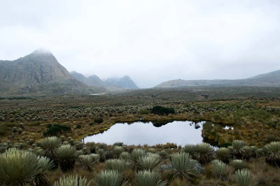 Bogotá: Sumapaz National Park Hike Tour - Key highlights to look for