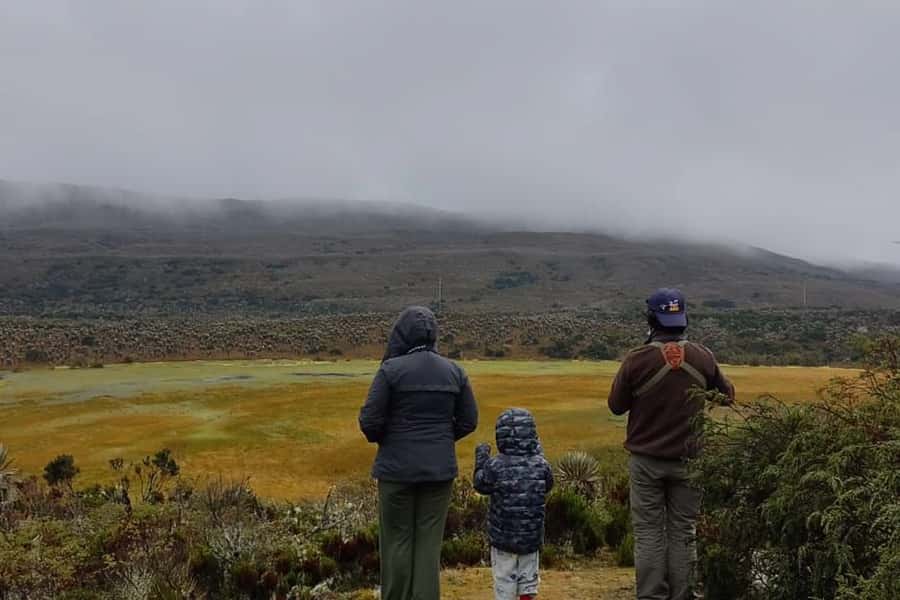 Bogotá: Sumapaz National Park Hike Tour - Why the Sumapaz Páramo hike feels like a real escape from Bogotá