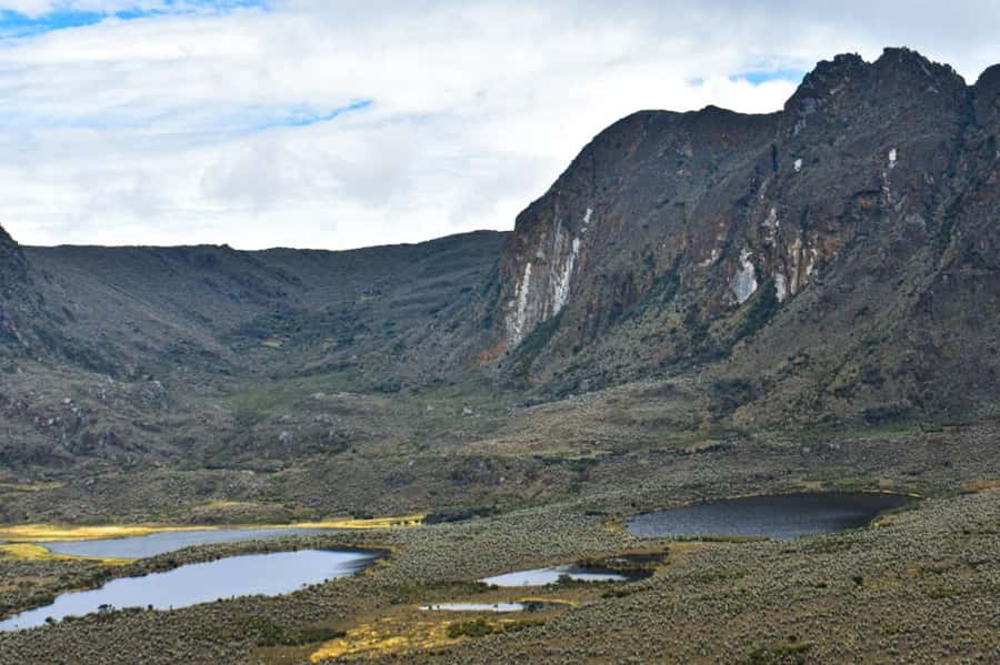 Bogotá: Sumapaz National Park Hike Tour - Entering the “haven” of Sumapaz: walking the slopes and meeting the Páramo