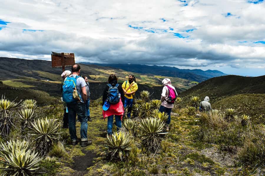 Bogotá: Sumapaz National Park Hike Tour - Mud, mist, and timing: what the hike day feels like
