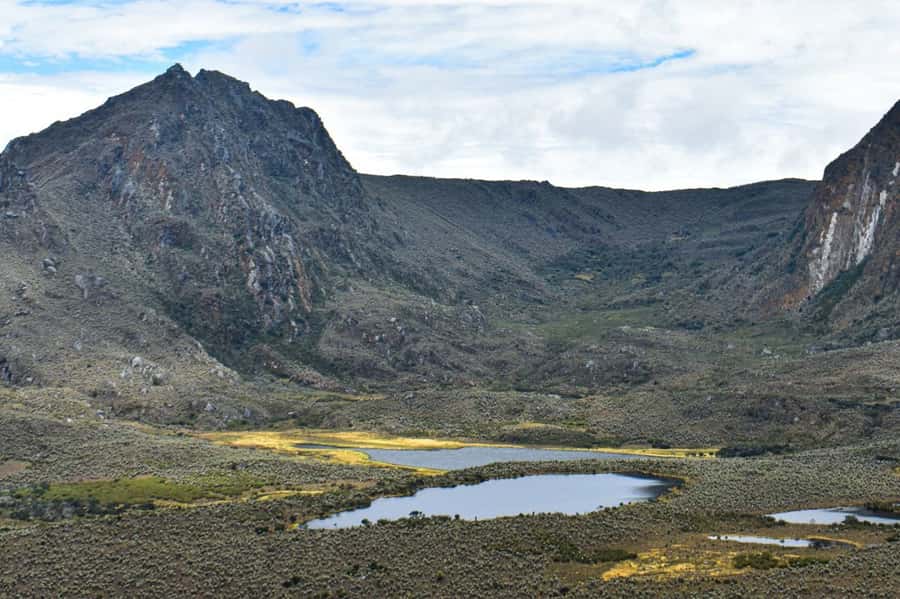 Bogotá: Sumapaz National Park Hike Tour - Price and value: what $136 buys you on a remote Páramo day