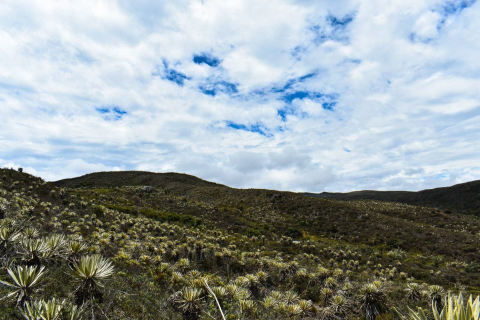 Bogotá: Sumapaz National Park Hike Tour - What’s included vs. what you must bring (mud-proof edition)
