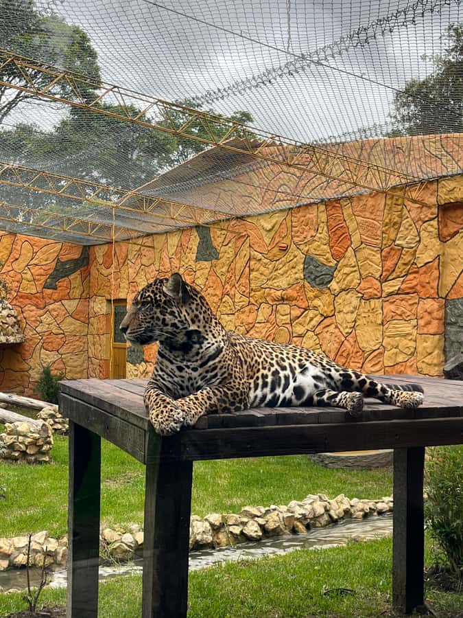 BOGOTA: Tour of Jaime Duque Park, Zoo, and Aerospace Museum - Getting the most out of your 6 hours