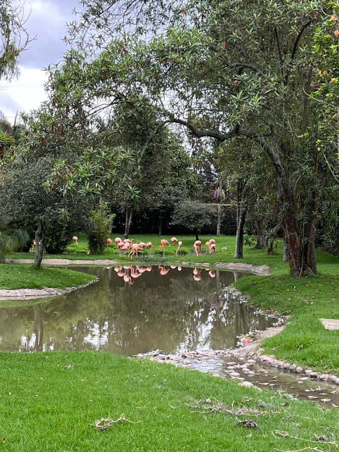 BOGOTA: Tour of Jaime Duque Park, Zoo, and Aerospace Museum - Theater show plus built-in breaks that keep families happy