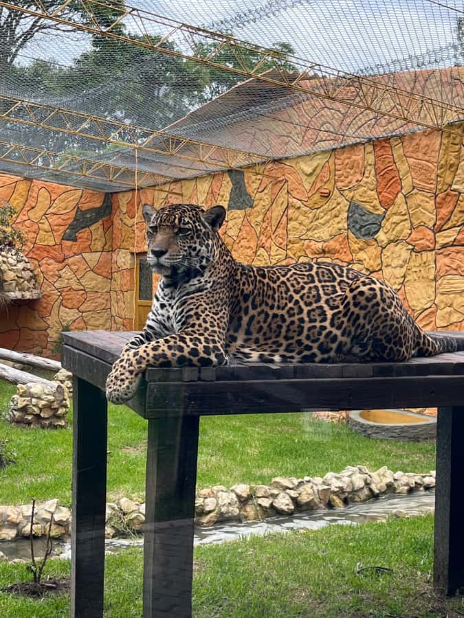 BOGOTA: Tour of Jaime Duque Park, Zoo, and Aerospace Museum - Price and value: what $117 buys and what it doesn’t