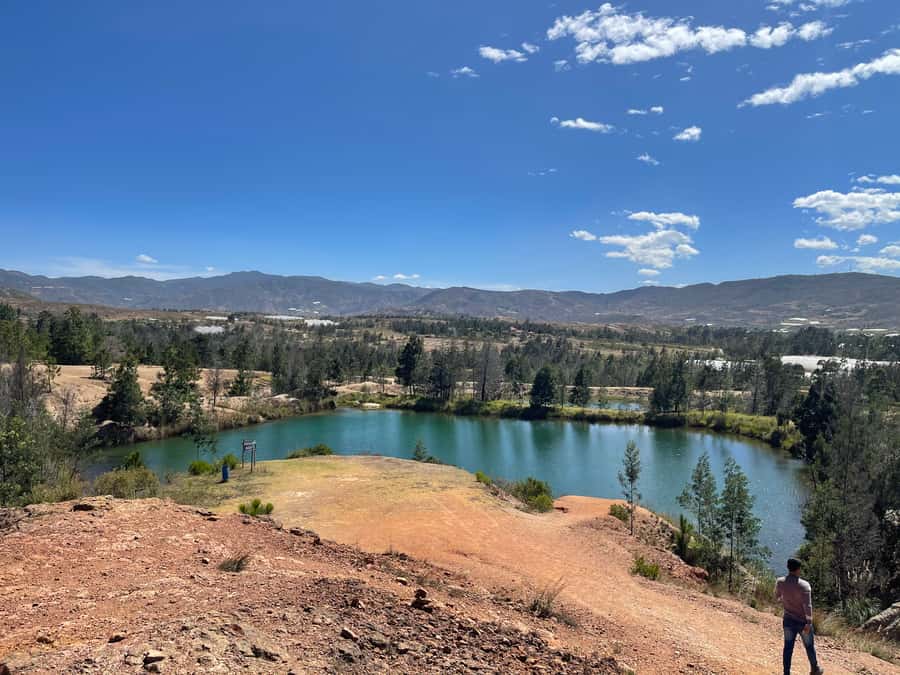 Bogotá: Villa de Leyva Full-Day Tour with Meals - Bogotá to Villa de Leyva: a long ride that sets the tone