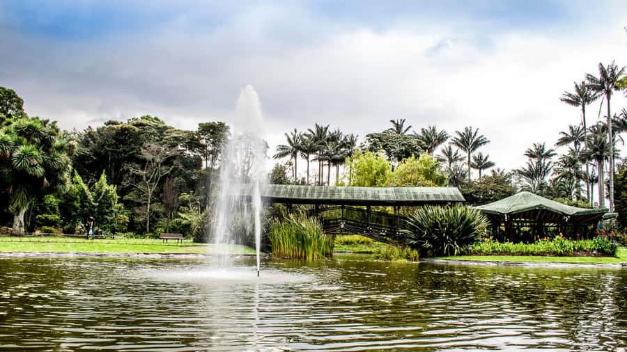 BOGOTA: Visit to the Botanical Garden and Ugly Betty's House - What to Bring (So You Don’t Cut the Experience Short)