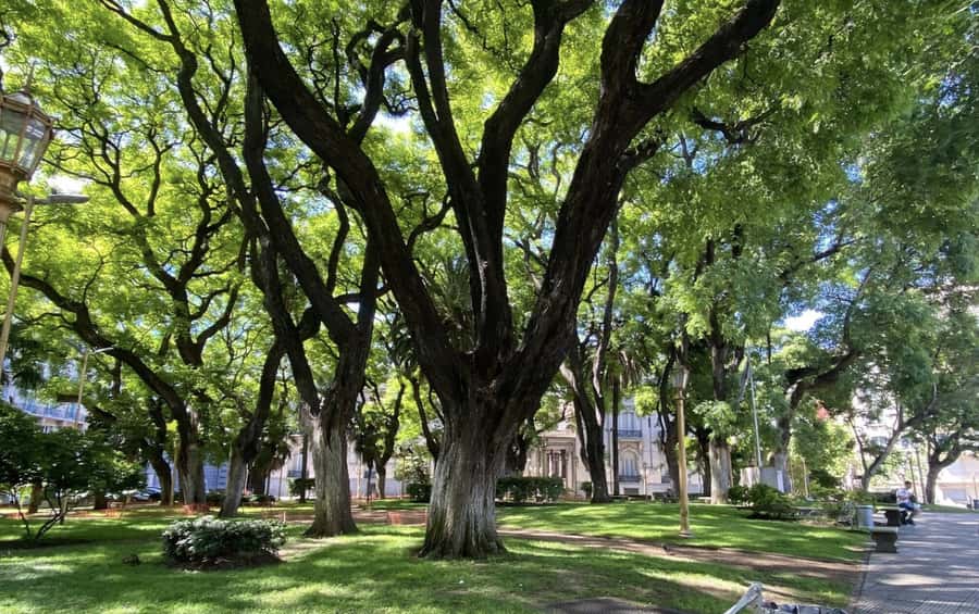 Buenos Aires: 7 Hour Small Group "BA 101" Walk - Recoleta Cemetery and Evita’s Lasting Presence