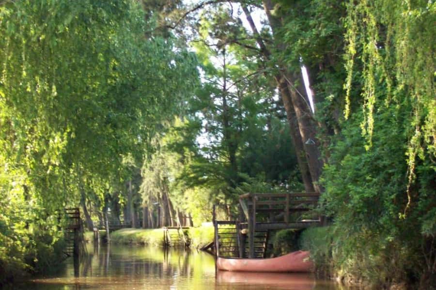 Buenos Aires: Classic Delta of Tigre Boat Tour - FAQ