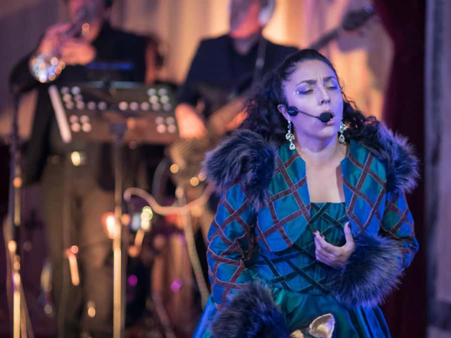 Buenos Aires: Gala Lírica Tickets at Palacio Paz. - Value for $45: Ticket Price vs. What You’re Actually Getting
