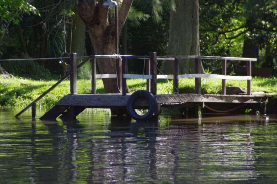 Buenos Aires: Tigre Delta Premium Boat Tour - Timing inside a 5-hour plan (and where it can feel tight)