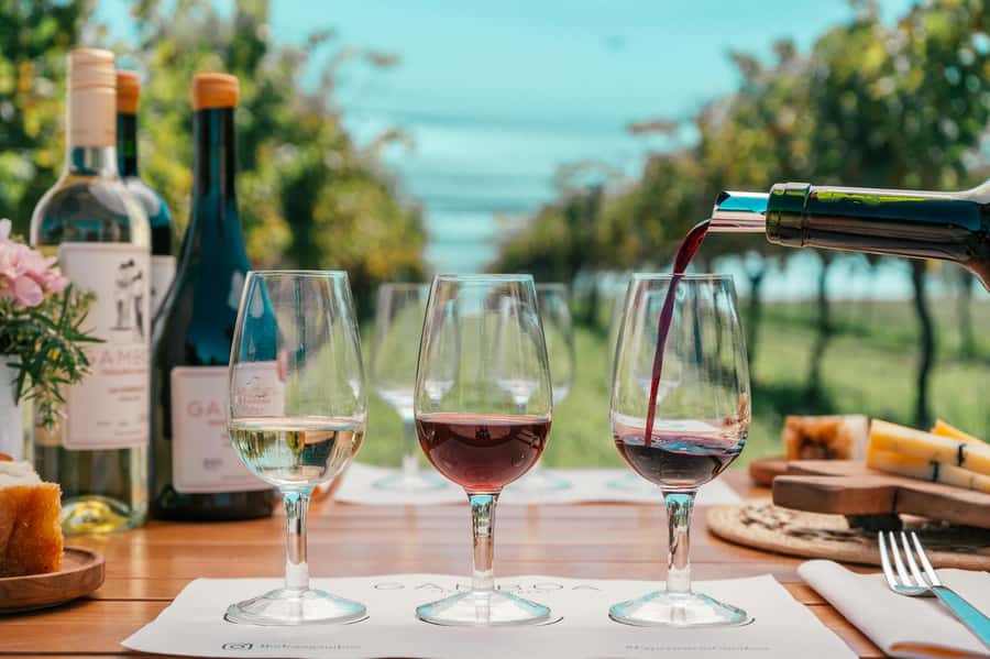 Buenos Aires: Wine Tasting & Lunch at Gamboa Vineyard - The welcome drink and vineyard walk under poplars