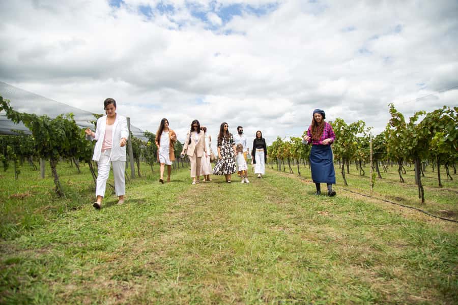 Buenos Aires: Wine Tasting & Lunch at Gamboa Vineyard - Price and value at $220: what you’re really paying for