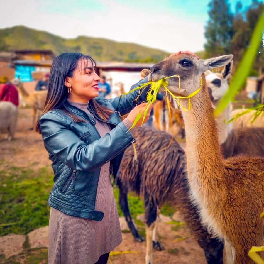 BUS 180 CUSCO - Live dance and why it changes the whole vibe