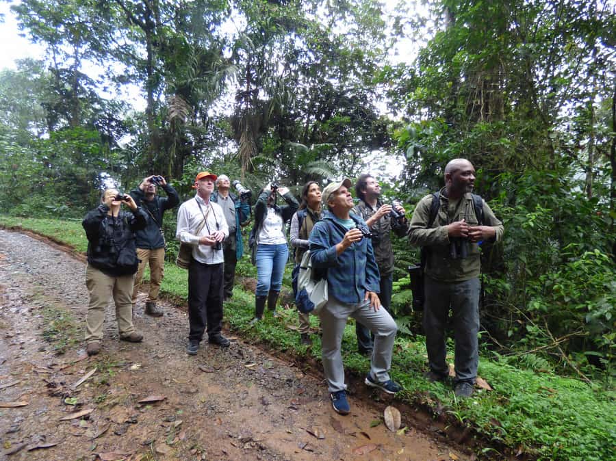Cali: Bird Watching in The San Antonio Fog Forest - How the bird checklist makes your day feel complete