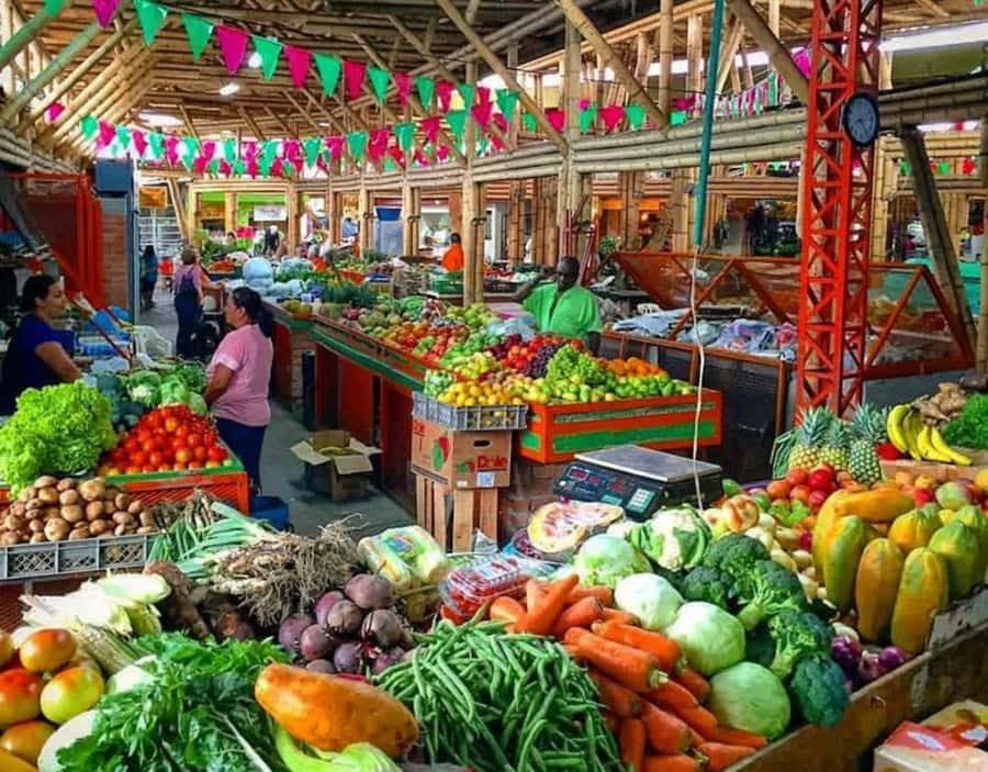 Cali: Cristo Rey, Tertulia Museum & Downtown Cali City Tour - Plaza de Mercado Alameda: Fruit Market Tasting and Local Flavors You’ll Remember