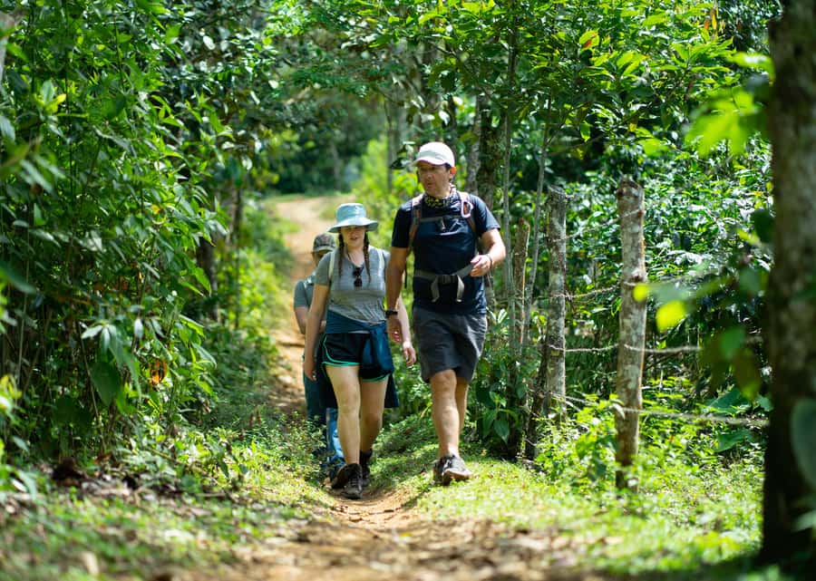 Cali: Hiking to the Pance waterfalls - Key Things That Make This Cali Waterfall Hike Worth It