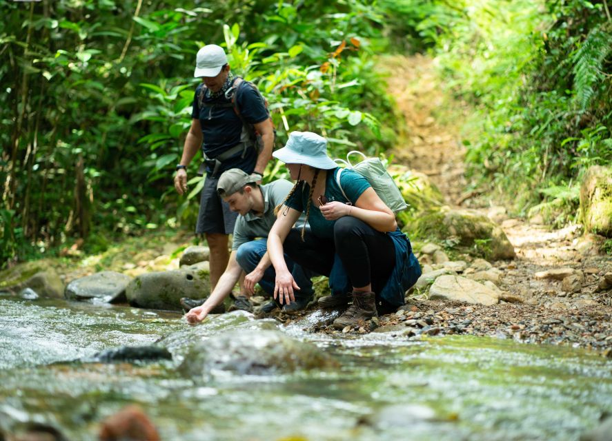 Cali: Hiking to the Pance waterfalls - Reaching the Water: River Passages and Calm Guiding