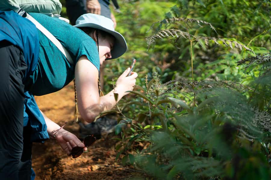 Cali: Hiking to the Pance waterfalls - Biodiversity and Birding: Seeing More Than Trees