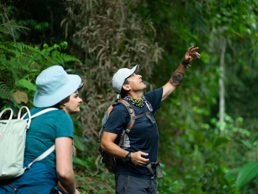 Cali: Hiking to the Pance waterfalls - The Farallones Hills Around Cali: A Nature Walk With a Purpose