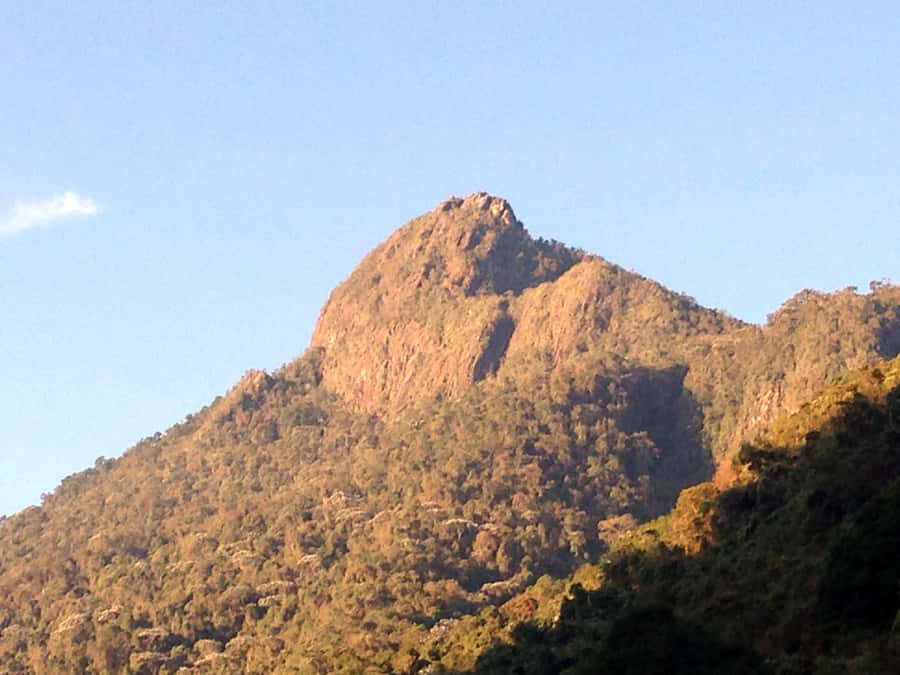 Cali: Pico de Loro Trekking Adventure - Farallones de Cali - Key Things to Know Before You Go