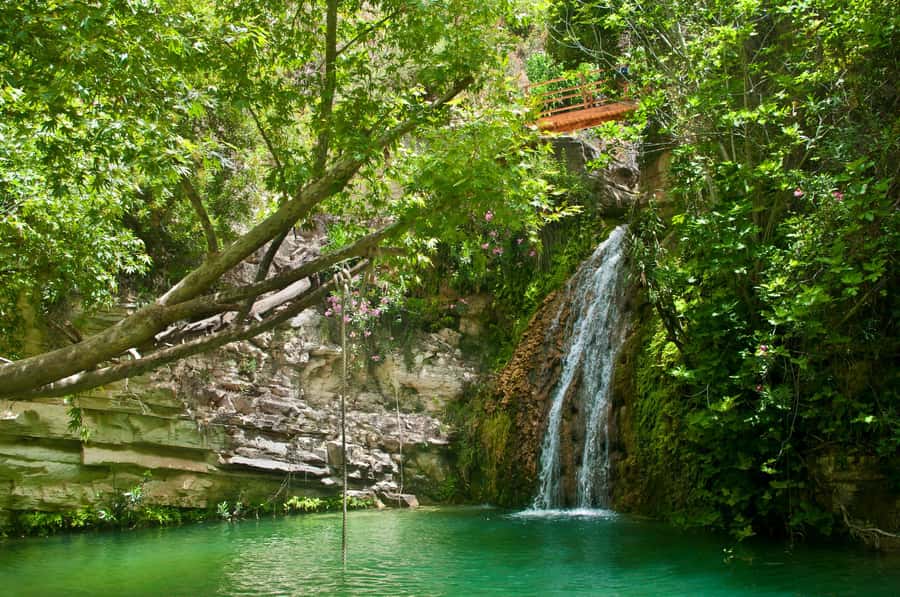Cali: San Cipriano & River Adventure Day Tour - Entering San Cipriano Natural Reserve: your 4.5-hour guided walk