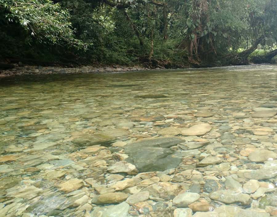 Cali: San Cipriano & River Adventure Day Tour - Timing that feels full day, not rushed