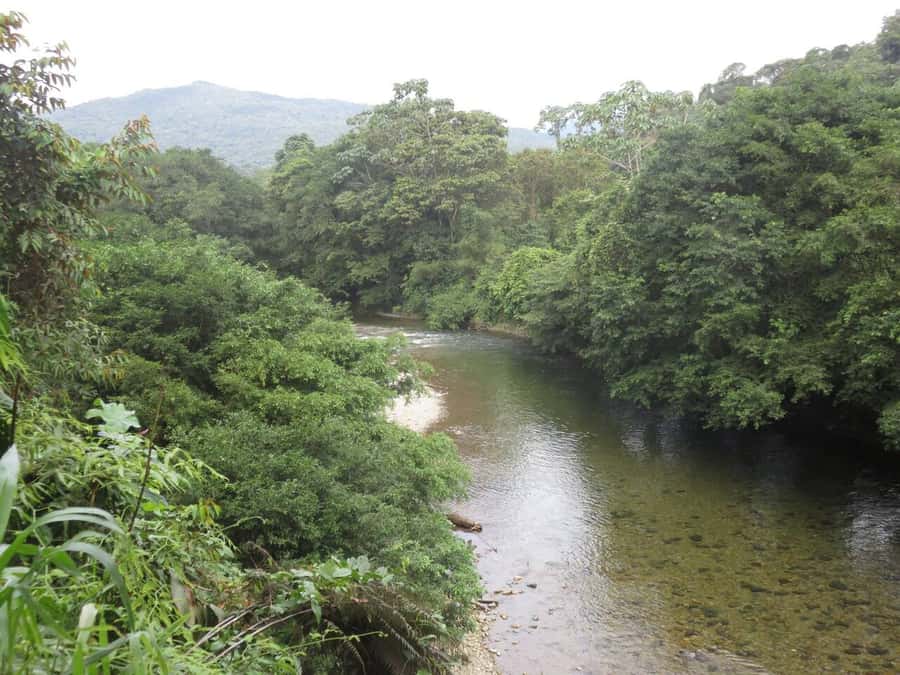 Cali: San Cipriano & River Adventure Day Tour - Should you book this San Cipriano adventure day tour?