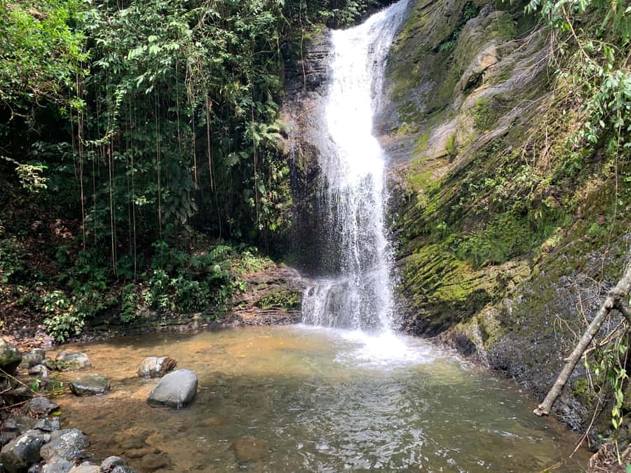 Cali: Tour of Waterfall in Pance River - Chorrera del Indio - Who this tour is best for