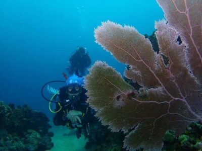 Cartagena: 2 Tanks Dive Plan For CERTIFIED DIVERS - The boat ride to Barú: what the 30 minutes buys you