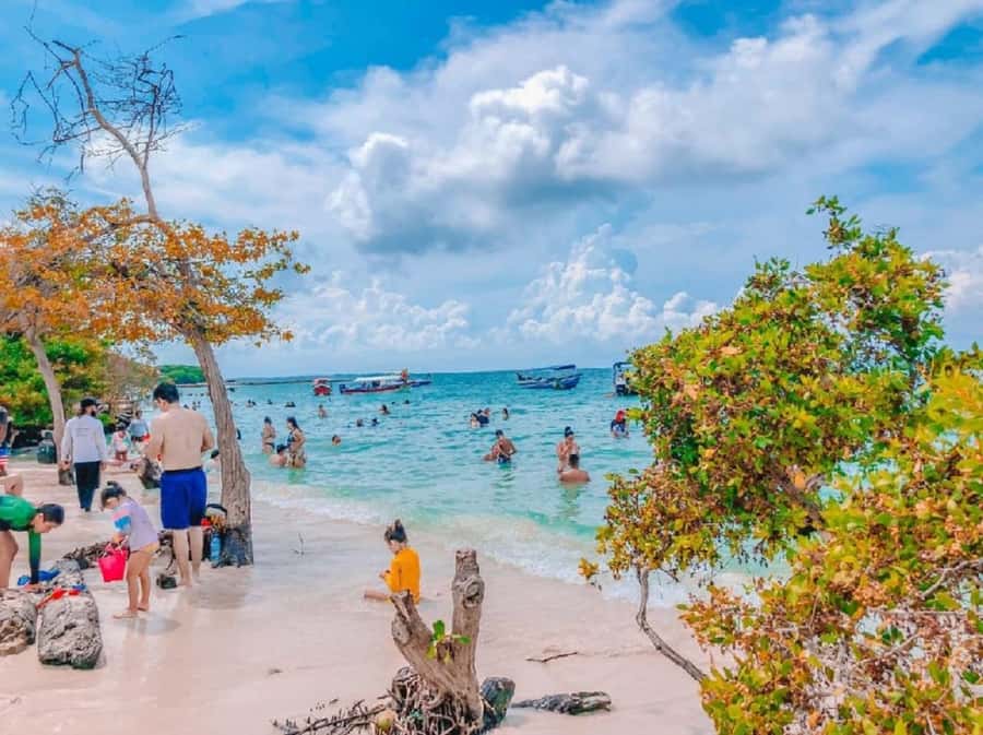 Cartagena: 5 ISLANDS by speedboat with SNORKELING & LUNCH - Should you book Cartagena: 5 Islands by speedboat with snorkeling & lunch?