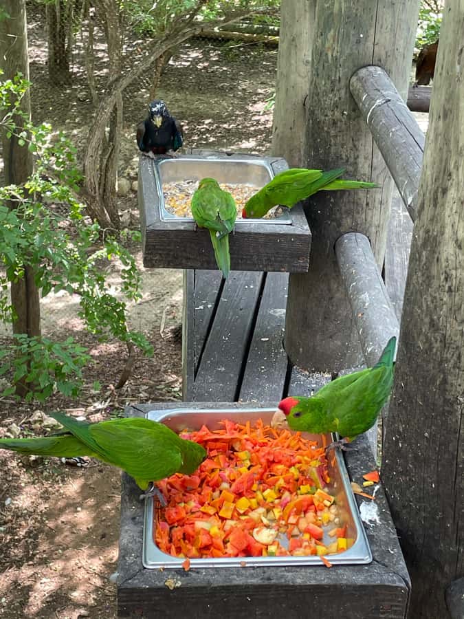 Cartagena: Aviary National Park Tour with Hotel Pickup - Key things to know before you go