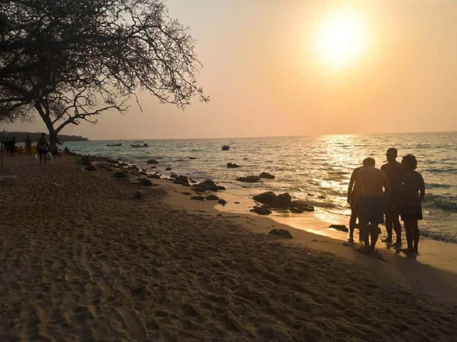 Cartagena: Baru Beach Day Trip with Bioluminescent Plankton - Why Barú Beach and glowing plankton are the main pull