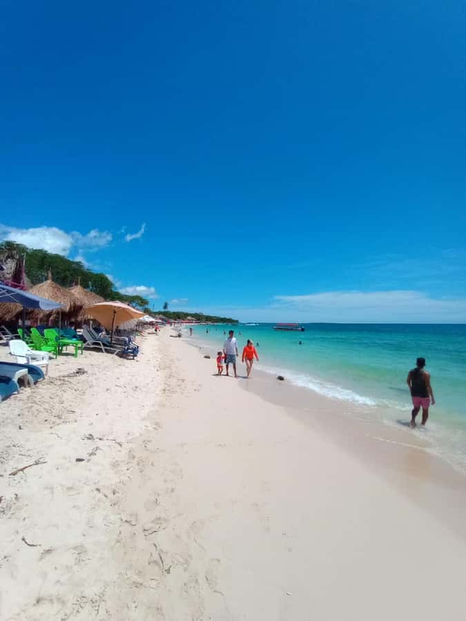 Cartagena: Baru Beach Day Trip with Bioluminescent Plankton - The day’s flow: where time can feel short (or long)