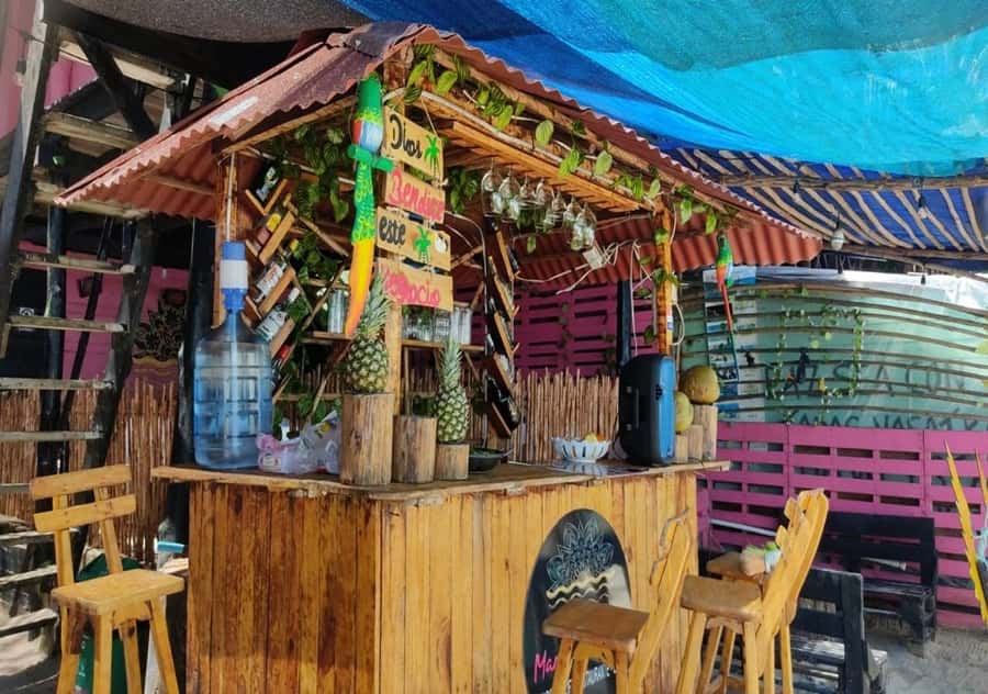 Cartagena: Baru Beach Day Trip with Bioluminescent Plankton - Price and value: what you get for $44