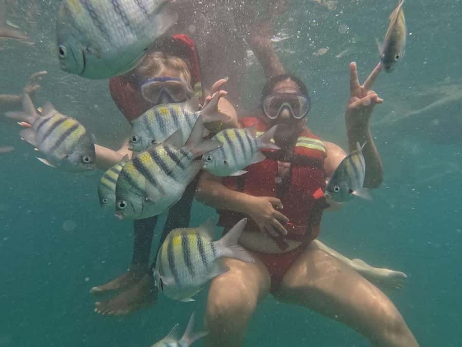Cartagena: BARÚ Playa blanca with SNORKELING INCLUDED - Snorkeling at Playa Blanca: what you’re really aiming for
