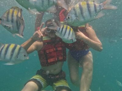 Cartagena: BARÚ Playa blanca with SNORKELING INCLUDED - Getting from Cartagena to Barú: early pickup and the ride rhythm