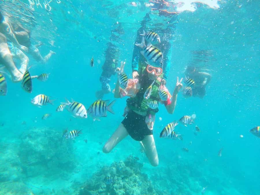 Cartagena: BARÚ Playa blanca with SNORKELING INCLUDED - Who should book this Barú snorkeling day—and who should skip it