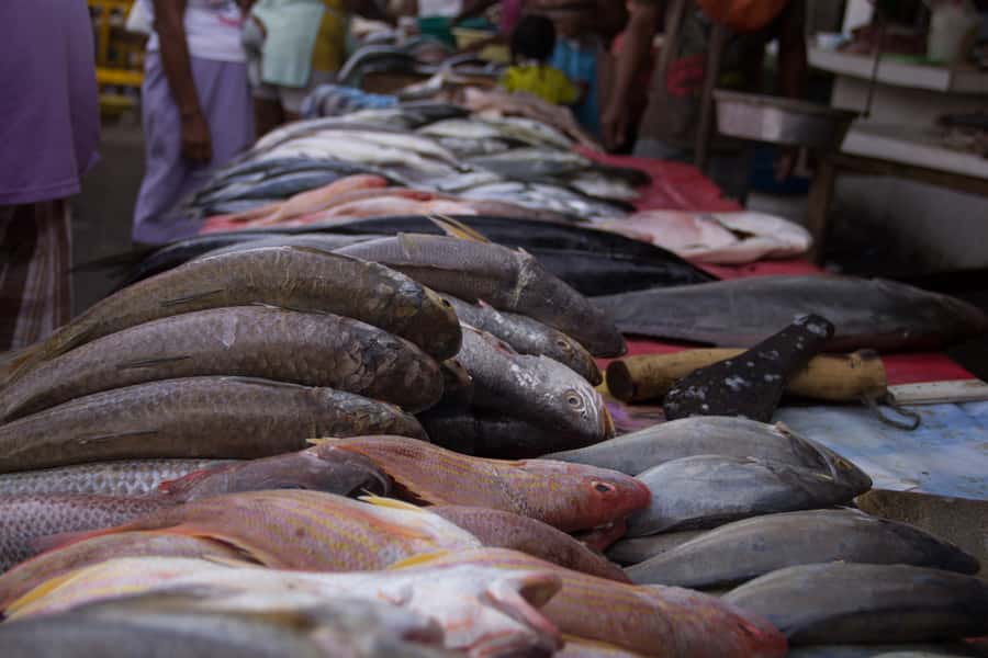 Cartagena Bazurto Market: Authentic Food & Culture Tour - Street art and crafts that explain Cartagena’s cultural heartbeat