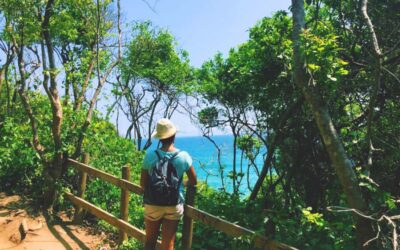 Cartagena: Cabo San Juan Beach and Tayrona Natural Park Tour - Tayrona hike: humid tropical paths and a real nature pause