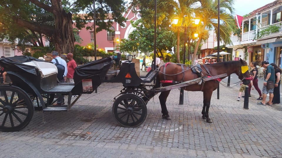 Cartagena: COLLONIAL HORSE DRAWN CARRIAGE by THE OLD CITY - Key highlights to look for