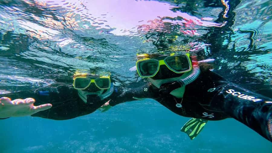 Cartagena: Coralina Island Day Trip with Lunch - Free snorkeling: the easiest way to see the marine life
