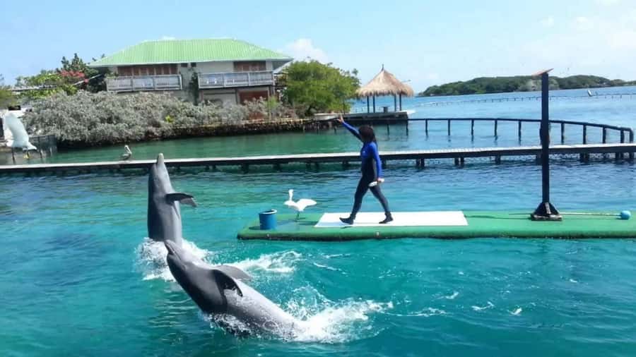 Cartagena de Indias: Pasadia 5 Islas del rosario and Baru boat trip - From La Bodeguita Pier to the Speedboat: Your Day Starts Fast