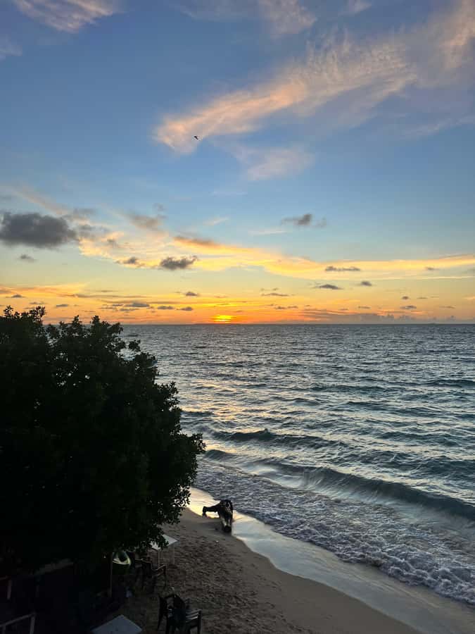 Cartagena de Indias: Pasadia 5 Islas del rosario and Baru boat trip - Sunset and Luminous Plankton: The Night Moment (Time May Vary)