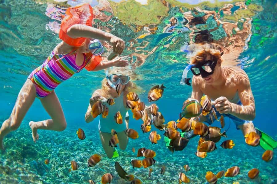 Cartagena de Indias: Pasadia 5 Islas del rosario and Baru boat trip - Who This Trip Is For (and Who Should Skip It)