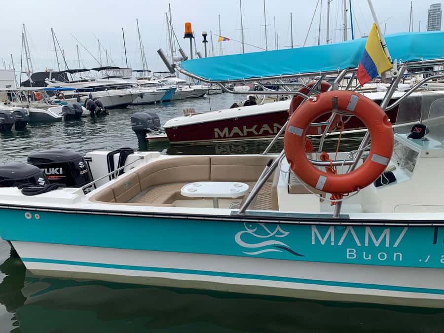 CARTAGENA, EXCLUSIVE launch for Rosario and Baru Islands - Beaches and Lunch: Private Shores, Hotel Stops, and Public Baru Favorites