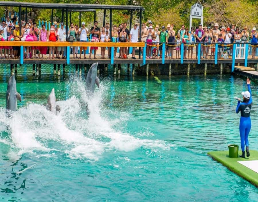 CARTAGENA: EXCURSION to the Rosario Islands by boat and white beach by bus. - Barú and Playa Blanca: your best shot at real beach time