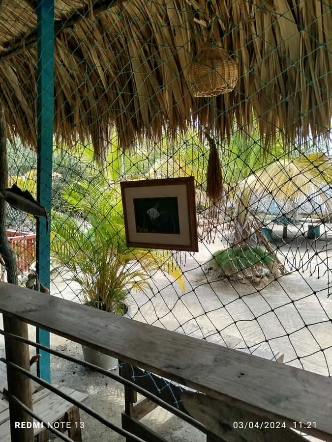 Cartagena: FISHERMEN'S ISLAND IN THE MANGROVES by canoe - Your guides in English and Spanish: the difference between hearing and learning