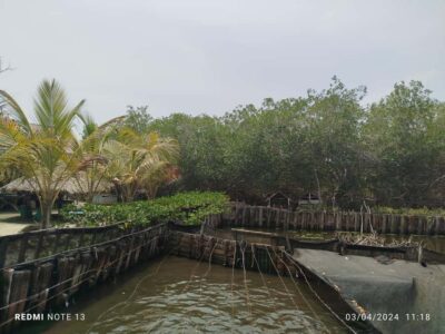 Cartagena: FISHERMEN'S ISLAND IN THE MANGROVES by canoe - Fishermen’s Island: coconut cold drink, dance, and local storytelling