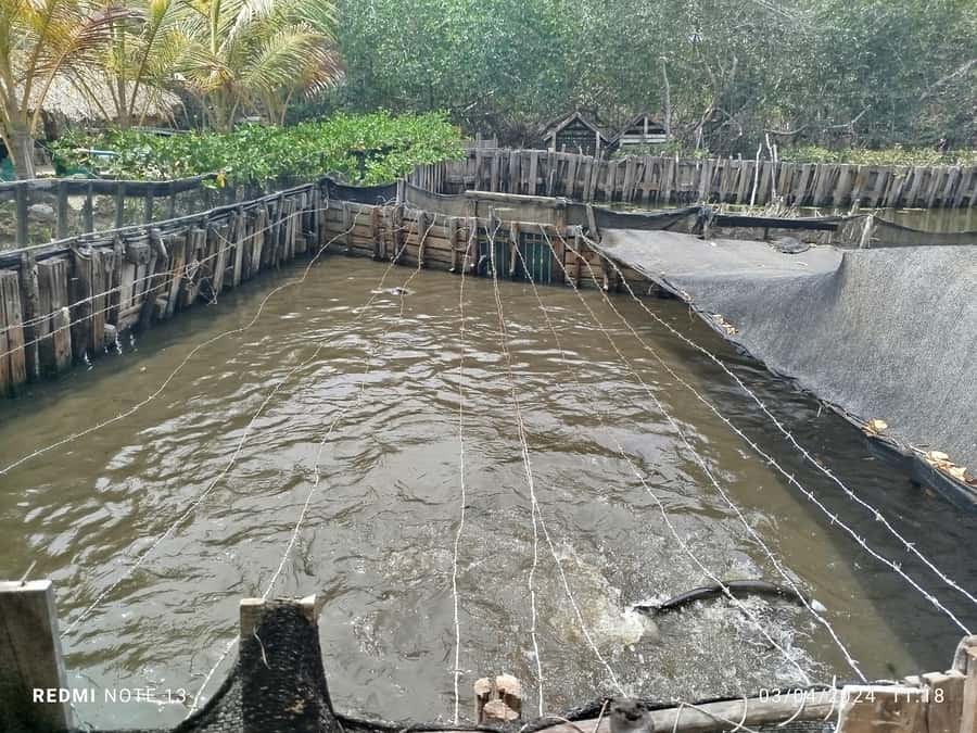 Cartagena: FISHERMEN'S ISLAND IN THE MANGROVES by canoe - Price and value: is $28 a fair deal for two hours?